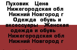 Пуховик › Цена ­ 2 500 - Нижегородская обл., Нижний Новгород г. Одежда, обувь и аксессуары » Женская одежда и обувь   . Нижегородская обл.,Нижний Новгород г.
